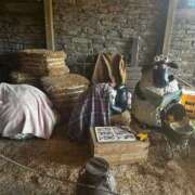 ヒメ日記 2025/08/02 15:47 投稿 ひな マリン宮殿雄琴店