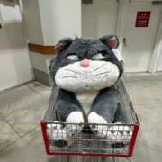 ヒメ日記 2025/12/10 17:07 投稿 ひな マリン宮殿雄琴店