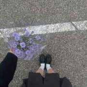 ヒメ日記 2025/12/12 19:01 投稿 ひな マリン宮殿雄琴店