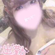 ヒメ日記 2025/01/25 14:58 投稿 ちな ちゃんこ本厚木店