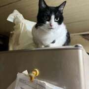 ヒメ日記 2025/03/01 09:56 投稿 ゆき 熟女ばかり