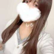 ヒメ日記 2024/12/29 11:16 投稿 しろ 吉祥寺ミセス・シンデレラ（シンデレラグループ）