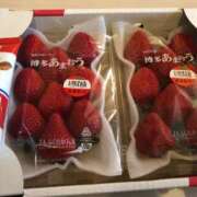 ヒメ日記 2025/02/28 14:08 投稿 もこ マツタケヒロシ