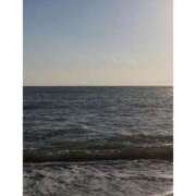 ヒメ日記 2025/04/20 19:38 投稿 もこ マツタケヒロシ