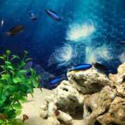 ヒメ日記 2025/05/07 20:12 投稿 もこ マツタケヒロシ