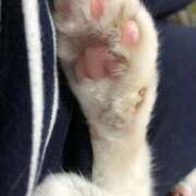 ヒメ日記 2025/11/04 12:48 投稿 もこ マツタケヒロシ