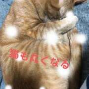 ヒメ日記 2024/12/31 15:09 投稿 みさ 大阪和泉ちゃんこ