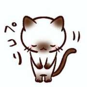 みさ 本日 大阪和泉ちゃんこ