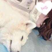 ヒメ日記 2025/03/30 12:45 投稿 えりか ばつぐん素人プロダクション