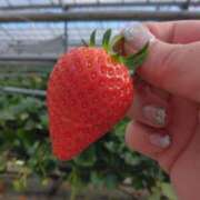 ヒメ日記 2025/02/25 10:25 投稿 うみ 夢の国デリランド