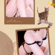 ヒメ日記 2025/11/04 15:10 投稿 綾音詩 五十路マダム 新潟店(カサブランカグループ)