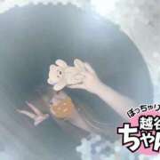 ヒメ日記 2025/11/13 12:01 投稿 ライカ ぽっちゃり巨乳素人専門 埼玉越谷ちゃんこ