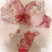 ヒメ日記 2025/05/18 07:08 投稿 宮岡(みやおか) 熟女出逢い会『百合の園』目黒店