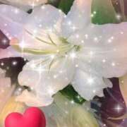 ヒメ日記 2025/09/04 16:38 投稿 宮岡(みやおか) 熟女出逢い会『百合の園』目黒店