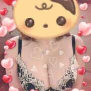 ヒメ日記 2025/11/09 06:38 投稿 宮岡(みやおか) 熟女出逢い会『百合の園』目黒店