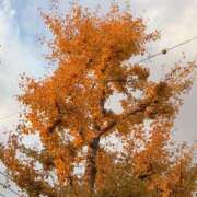 りせ お礼 制服天国（ユメオト）