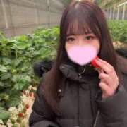 ヒメ日記 2025/03/13 07:31 投稿 さつき まじらぶ！