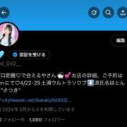 ヒメ日記 2025/04/22 20:41 投稿 さつき まじらぶ！