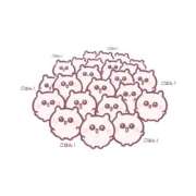 ヒメ日記 2026/01/16 10:50 投稿 北条 すず アリス女学院 日本橋校