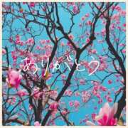 ヒメ日記 2025/04/22 22:25 投稿 佐伯　みか しこたま奥様 札幌店