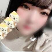 ヒメ日記 2025/04/16 17:12 投稿 ひなみ ちゃんこ藤沢茅ヶ崎店