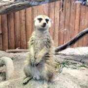 ヒメ日記 2025/05/13 16:18 投稿 神田　そら 妻の本音