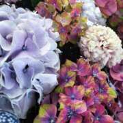 ヒメ日記 2025/06/28 21:24 投稿 神田　そら 妻の本音