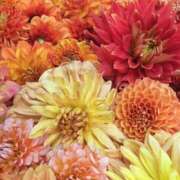 ヒメ日記 2025/10/04 19:35 投稿 神田　そら 妻の本音