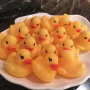 ヒメ日記 2025/12/16 18:00 投稿 神田　そら 妻の本音