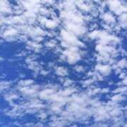 ヒメ日記 2025/12/27 11:50 投稿 神田　そら 妻の本音