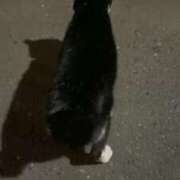 ヒメ日記 2025/03/31 22:53 投稿 らむ ウルトラグレイス24