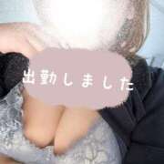 ヒメ日記 2025/12/13 15:15 投稿 かりん ぽちゃLOVE(サンライズグループ)