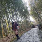 ヒメ日記 2025/03/12 09:24 投稿 Namie THE RICH