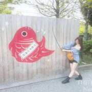 ヒメ日記 2025/05/02 10:10 投稿 Namie THE RICH