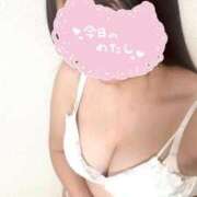 ヒメ日記 2025/02/13 09:38 投稿 松井 えれな Canx2京都店