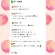 ヒメ日記 2025/03/27 08:20 投稿 ももか マリンマリン