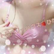 ヒメ日記 2025/01/18 08:06 投稿 ひな ストロベリーハウス