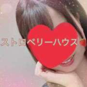 ヒメ日記 2025/05/01 09:53 投稿 ひな ストロベリーハウス