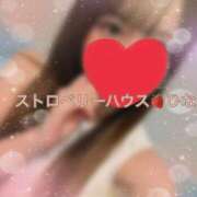 ヒメ日記 2025/11/22 12:21 投稿 ひな ストロベリーハウス