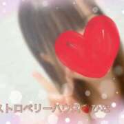 ヒメ日記 2025/01/13 08:29 投稿 ひな コレクション