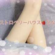 ヒメ日記 2025/01/13 09:18 投稿 ひな コレクション