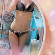 ヒメ日記 2025/01/26 09:26 投稿 ひな コレクション