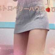 ヒメ日記 2025/03/26 09:35 投稿 ひな コレクション