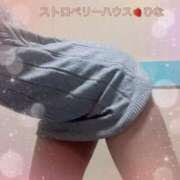 ヒメ日記 2025/04/11 09:18 投稿 ひな コレクション