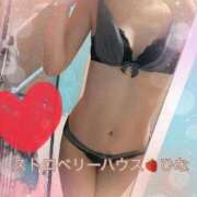 ヒメ日記 2025/05/08 09:26 投稿 ひな コレクション