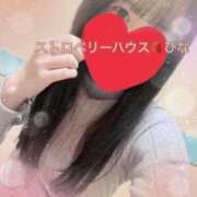 ヒメ日記 2025/05/09 07:54 投稿 ひな コレクション