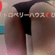 ヒメ日記 2025/05/12 09:28 投稿 ひな コレクション