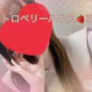 ヒメ日記 2025/10/31 19:06 投稿 ひな コレクション