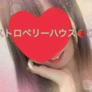 ヒメ日記 2025/12/29 09:50 投稿 ひな コレクション