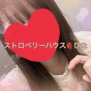 ひな あした コレクション